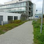 Picture showing the path leading to the chemistry building