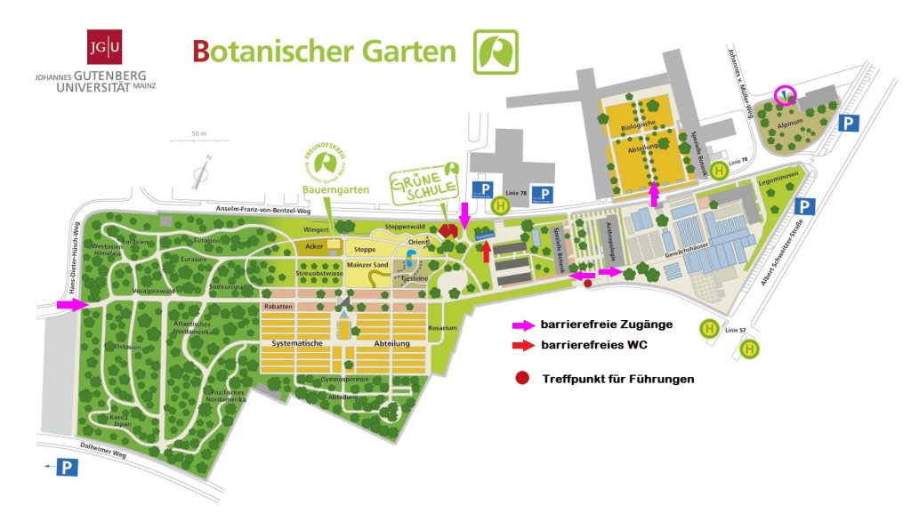 Map of the botanical gardens with indicators to the entrances, the accessible toilet and meeting spot